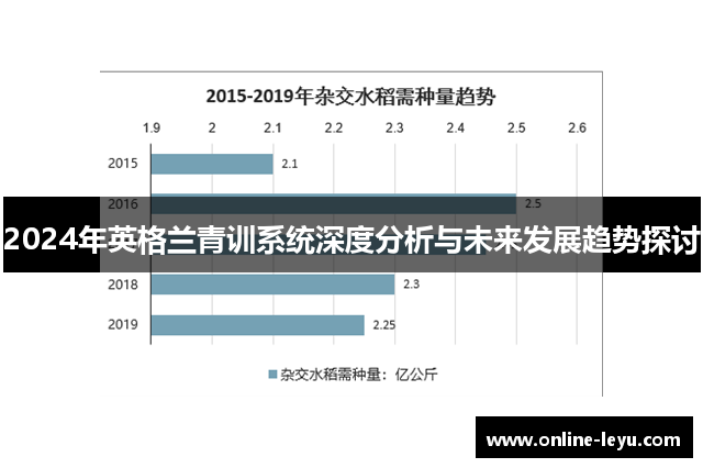 2024年英格兰青训系统深度分析与未来发展趋势探讨