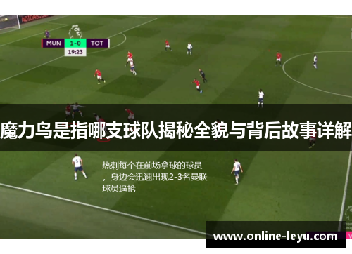 魔力鸟是指哪支球队揭秘全貌与背后故事详解
