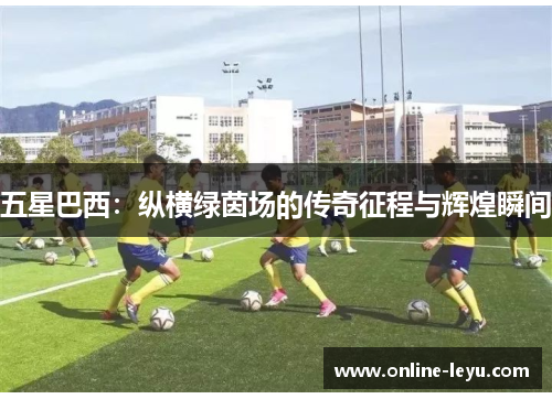五星巴西：纵横绿茵场的传奇征程与辉煌瞬间