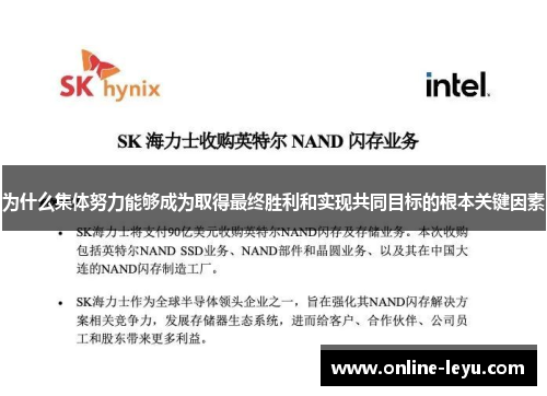 为什么集体努力能够成为取得最终胜利和实现共同目标的根本关键因素