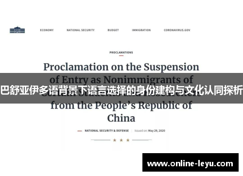 巴舒亚伊多语背景下语言选择的身份建构与文化认同探析