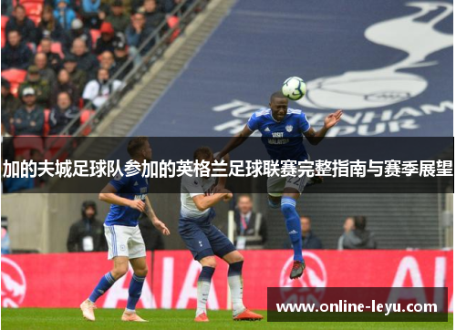 加的夫城足球队参加的英格兰足球联赛完整指南与赛季展望 加的夫城足球队参加的英格兰足球联赛完整指南与赛季展望